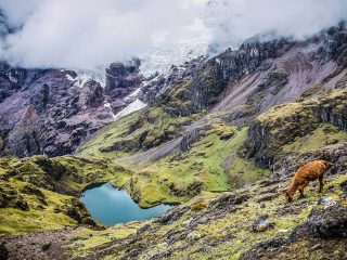 Lares Hike